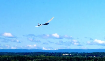 MINI WANDERER Oakwood AUG 2025_9585.webp