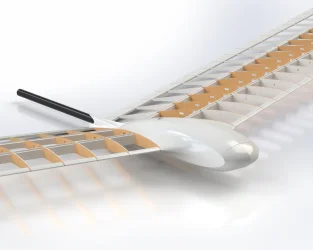 Untitled Project (14).webp