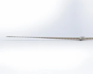 Untitled Project (20).webp