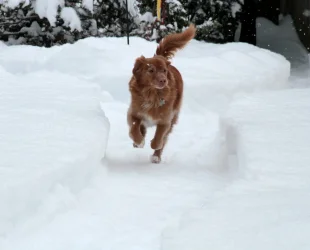 ENZO JAN-2026_3836.webp