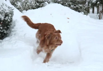 ENZO JAN-2026_3860.webp