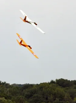 1-26-pair-0942.webp