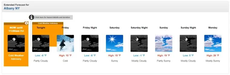 Albany Wx JAN 29.webp