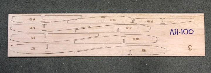 AH-100 ribs_3851.webp