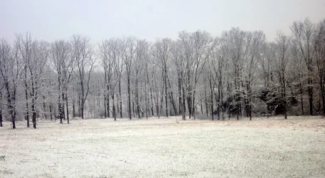 Rexford NY APR-7-2026_9812.webp