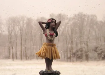 Hula Girl Rexford NY APR-7-2026_9821.webp