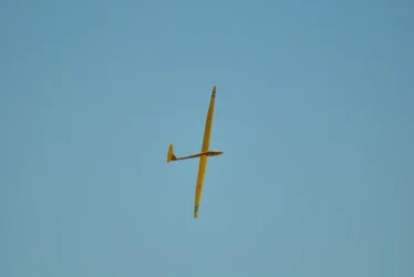 DSC_9805.webp