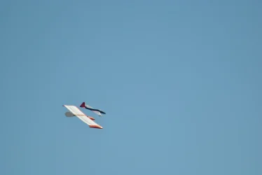 DSC_9816.webp
