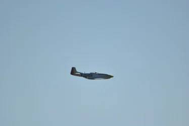 DSC_9836.webp