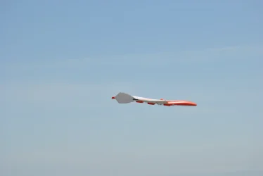 DSC_9872.webp