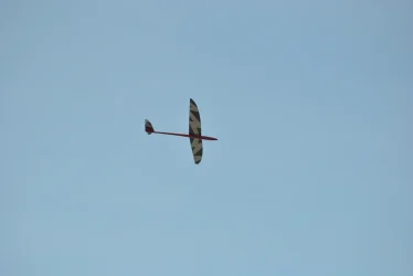 DSC_9883.webp