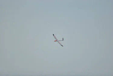 DSC_9931.webp