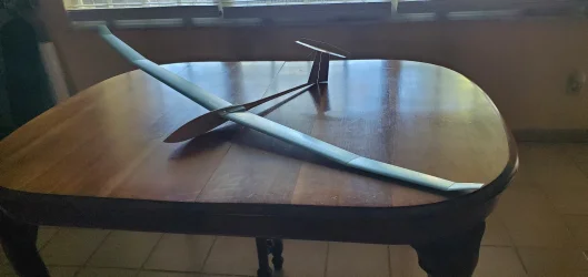 New glider.webp