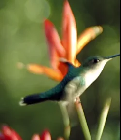 Screenshot 2026-07-11 at 07-35-53 Facebook.webp