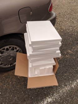 IMG_20200909_130408.jpg IMG_20200909_130408.jpg