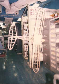 Pacific Ace  03.jpg