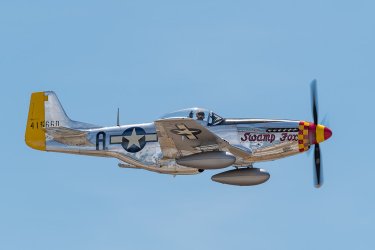 41235527544_d50d3eb8e4_b.jpg
