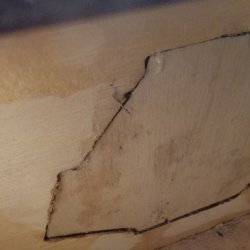 20220129_141729.jpg